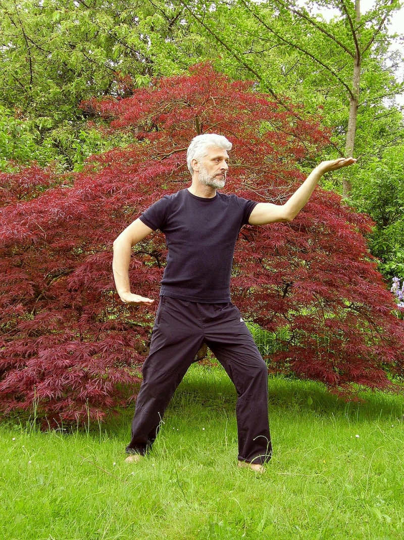 Tai Chi Chuan Meditación En Movimiento Mi Comida Me Sana 9453